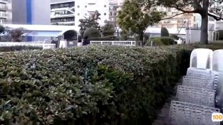 国产精品动漫一区二区